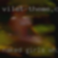 Naked girls Whiteville